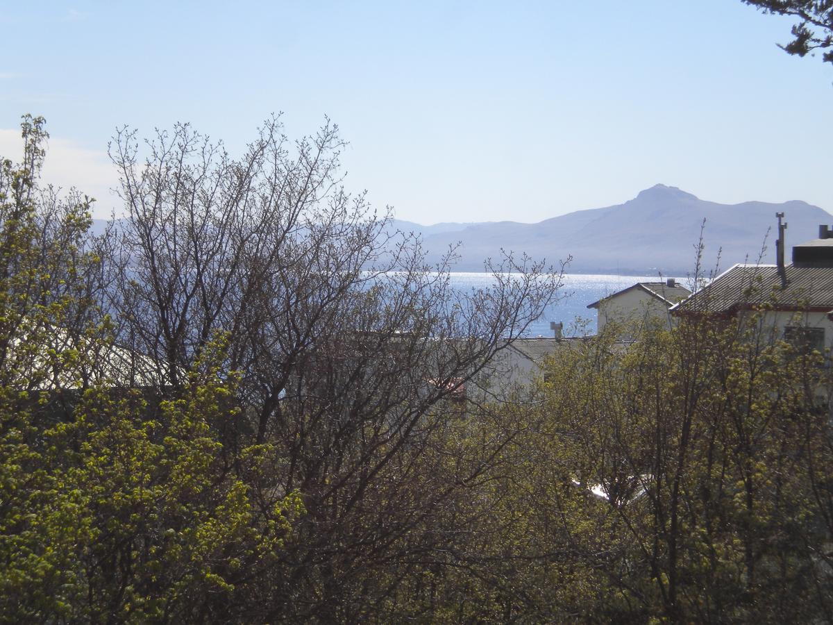 Panoramico